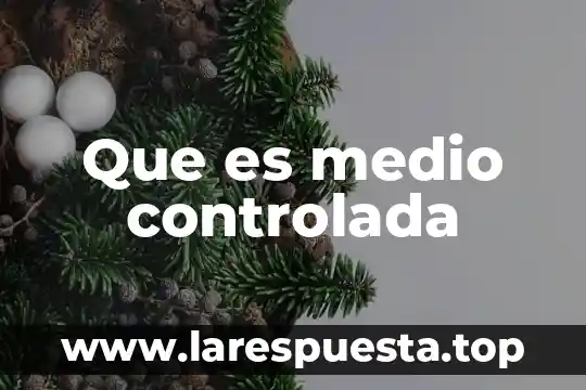 Que es una dieta controlada en fibra 3 Que es medio controlada