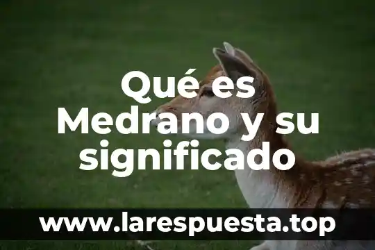 Que es megalomano significado 8 Qué es Medrano y su significado