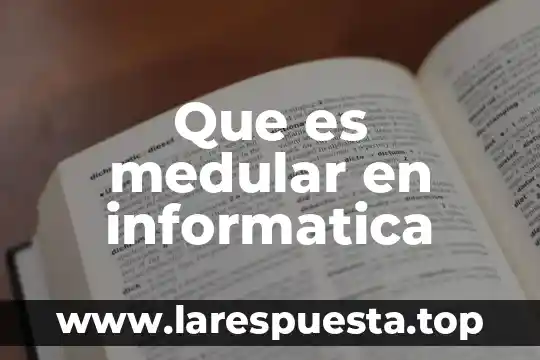 Que es medular en informatica