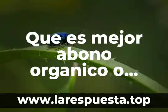 Que es el abono organico gallinaza 3 Que es mejor abono organico o quimico