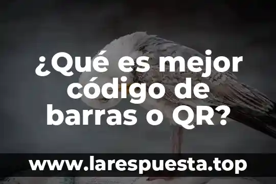 ¿Qué es mejor código de barras o QR?