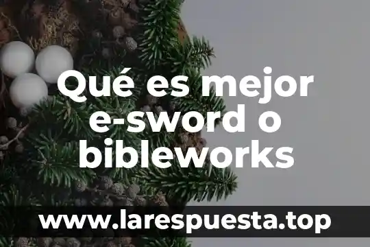 Que es mejor doltrix o nesajar 7 Qué es mejor e-sword o bibleworks