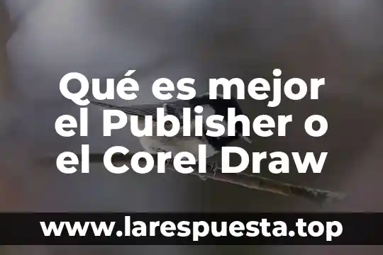 Qué es mejor el Publisher o el Corel Draw