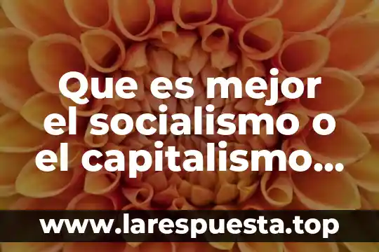 Qué es organismo en nutrición 7 Que es mejor el socialismo o el capitalismo yahoo