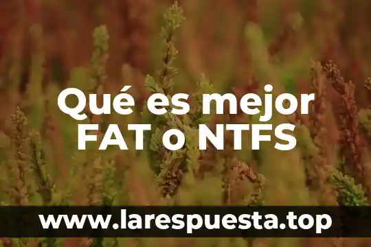 Qué es mejor corona de porcelana o disilicato de litio 8 Qué es mejor FAT o NTFS