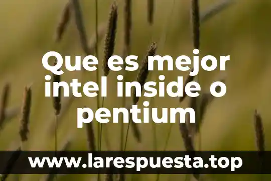 ¿Qué es mejor Intel o AMD para programar? 4 Que es mejor intel inside o pentium