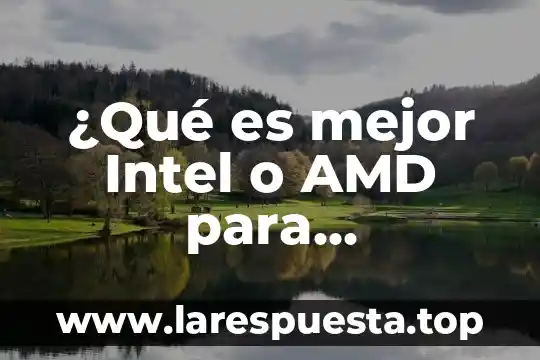Qué es mejor un procesador Intel Celeron o un i3 8 ¿Qué es mejor Intel o AMD para programar?