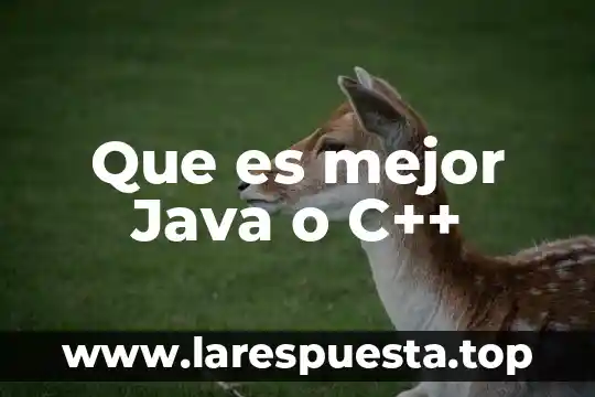 Que es una prueba unitaria java 5 Que es mejor Java o C++