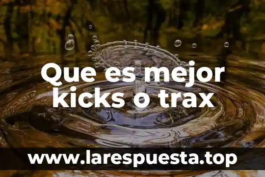 Qué es mejor mármol o porcelanato 5 Que es mejor kicks o trax