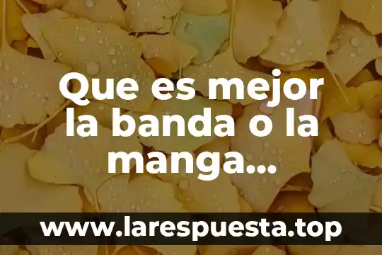 Que es mejor la banda o la manga gastrica