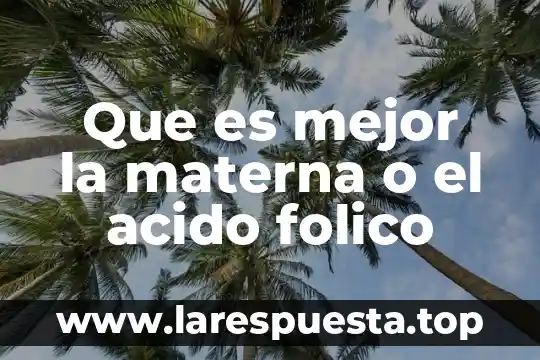 Que es lo mas importante que aporta la leche materna 5 Que es mejor la materna o el acido folico
