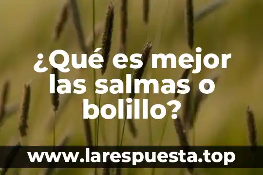 ¿Qué es mejor las salmas o bolillo?