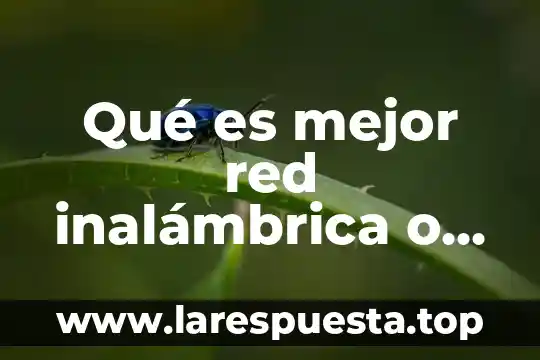 Que es una red inalambrica malla 3 Qué es mejor red inalámbrica o cableada