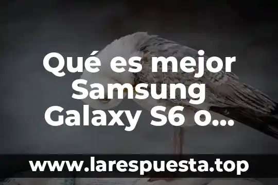 Que es mejor galaxy a20 o m20 3 Qué es mejor Samsung Galaxy S6 o Xperia Z5