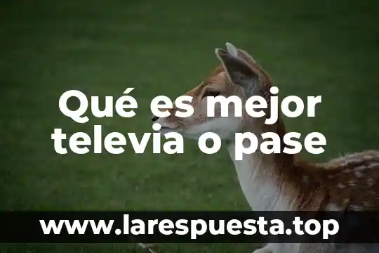 Qué es mejor corona de porcelana o disilicato de litio 7 Qué es mejor televia o pase