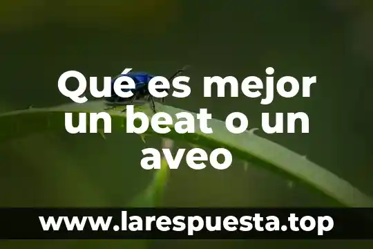 Qué es mejor un beat o un aveo