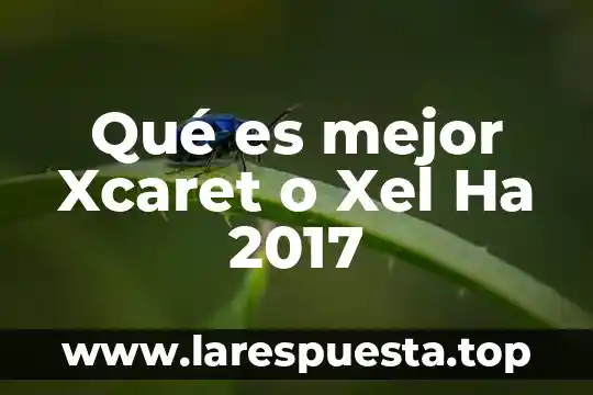Que es mejor kicks o trax 3 Qué es mejor Xcaret o Xel Ha 2017
