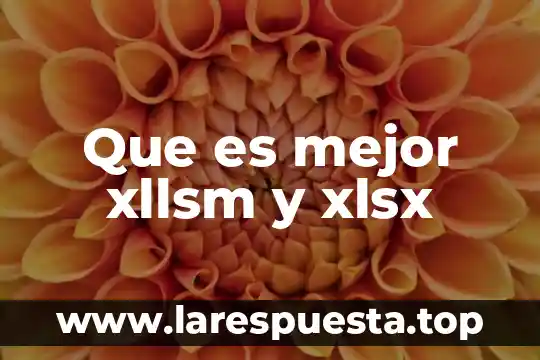 Qué es mejor corona de porcelana o disilicato de litio 6 Que es mejor xllsm y xlsx