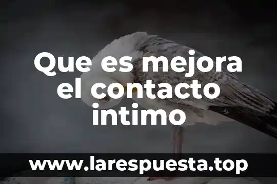 Que es la mejora de productos 5 Que es mejora el contacto intimo