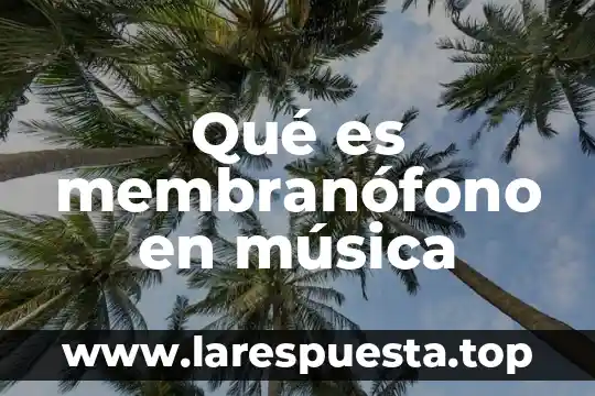 Qué es membranófono en música