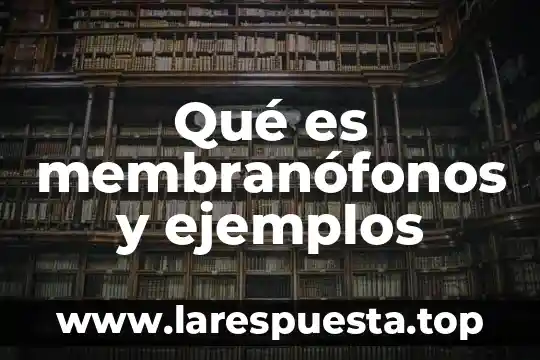 Qué es membranófonos y ejemplos