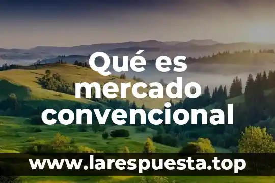 Qué es mercado convencional