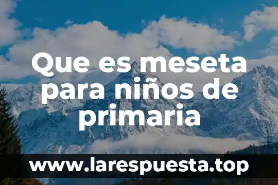 Que es fraccion primaria 3 Que es meseta para niños de primaria