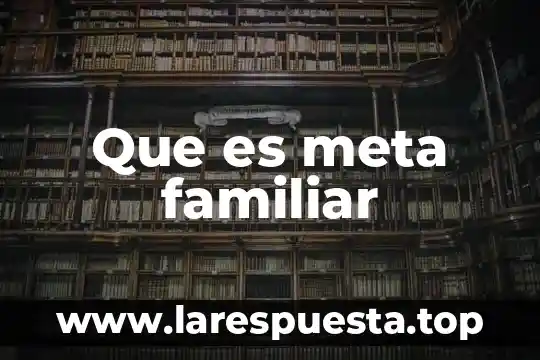 Que es throughput en el libro la meta 6 Que es meta familiar