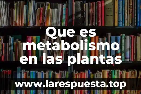Que es lo que controla el metabolismo 4 Que es metabolismo en las plantas