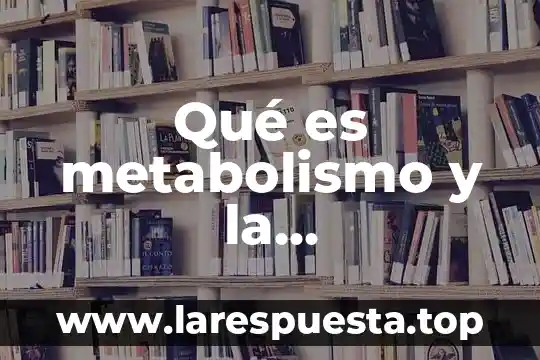 Que es lo que controla el metabolismo 7 Qué es metabolismo y la contaminación ambiental