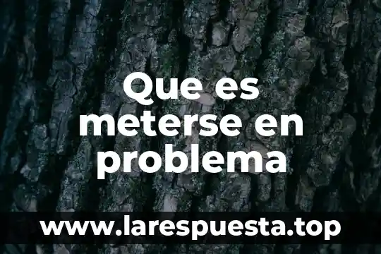 Muestra problema que es 8 Que es meterse en problema