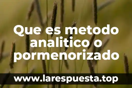 Qué es un método de eliminación 8 Que es metodo analitico o pormenorizado