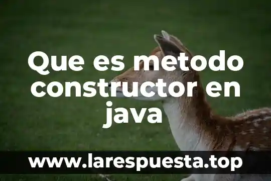 Qué es el método anticonceptivo de temperatura basal 6 Que es metodo constructor en java