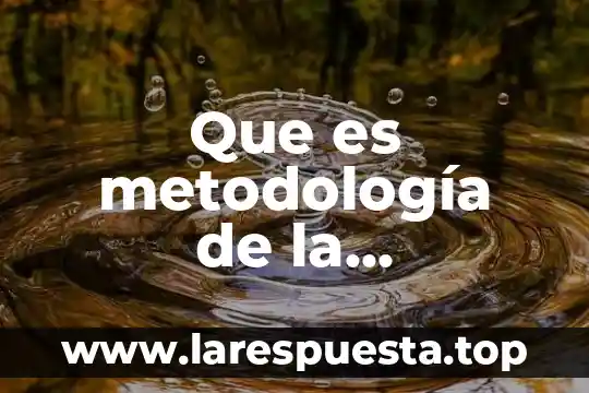 Qué es lo que más compran los hoteles en México 5 Que es metodología de la enseñanza em mexico