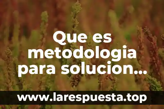 Que es metodologia para solucion de problemas