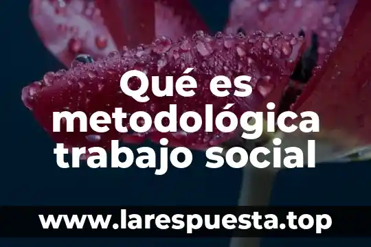Que es minuta en trabajo social 6 Qué es metodológica trabajo social