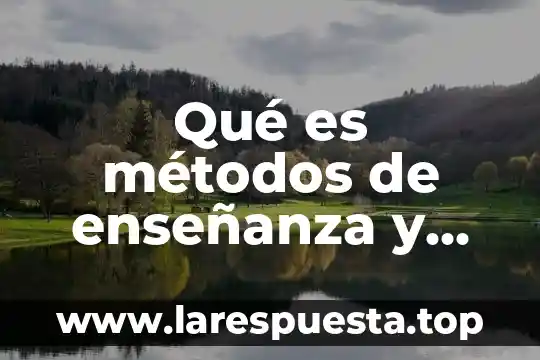 Qué es métodos de enseñanza y modalidades de organización