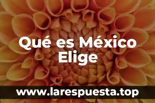 Qué es México Elige