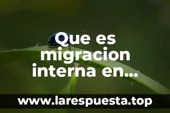 Qué es el bautizo en México 6 Que es migracion interna en mexico