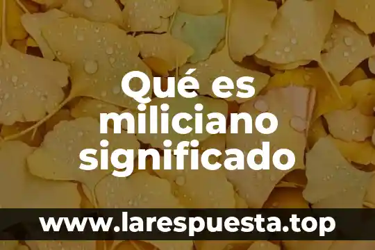 Que es fifi significado 4 Qué es miliciano significado