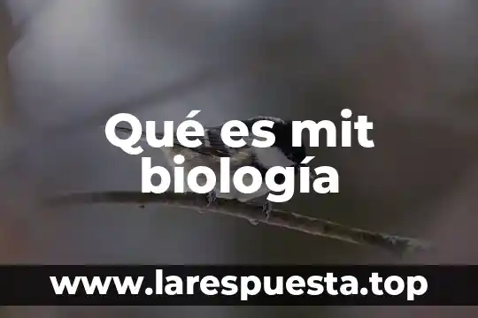 Qué es mit biología