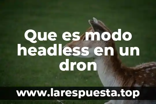 Que es un modo hiperactivo 7 Que es modo headless en un dron