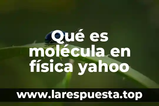 Qué es la molécula y por qué está formada 4 Qué es molécula en física yahoo