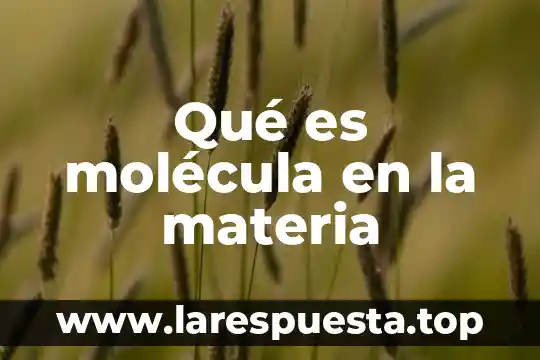Qué es la molécula y por qué está formada 7 Qué es molécula en la materia