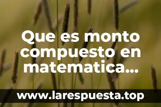 Que es monto compuesto en matematica financiera