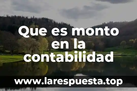 Que es monto en la contabilidad