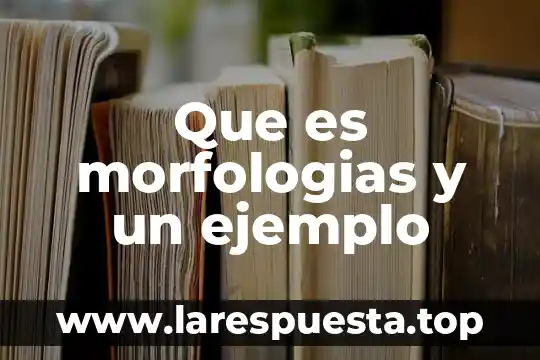 Qué es el teorema y un ejemplo 8 Que es morfologias y un ejemplo