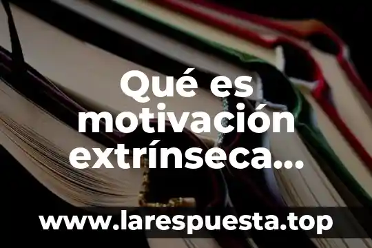 Qué es motivación extrínseca según autores
