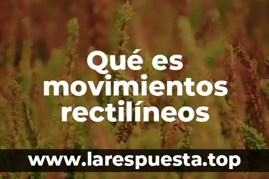 Movimientos contra el gasolinazo que es 3 Qué es movimientos rectilíneos