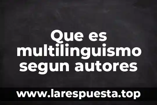 Que es multilinguismo segun autores